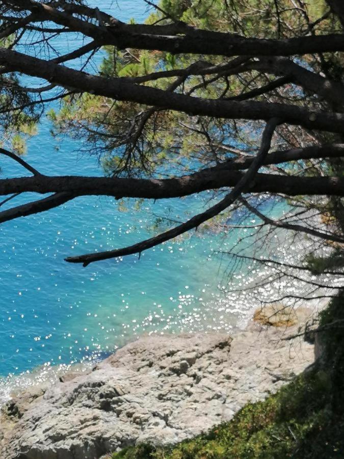 Ferienwohnung Ca Gianca Riccò del Golfo di Spezia Exterior foto
